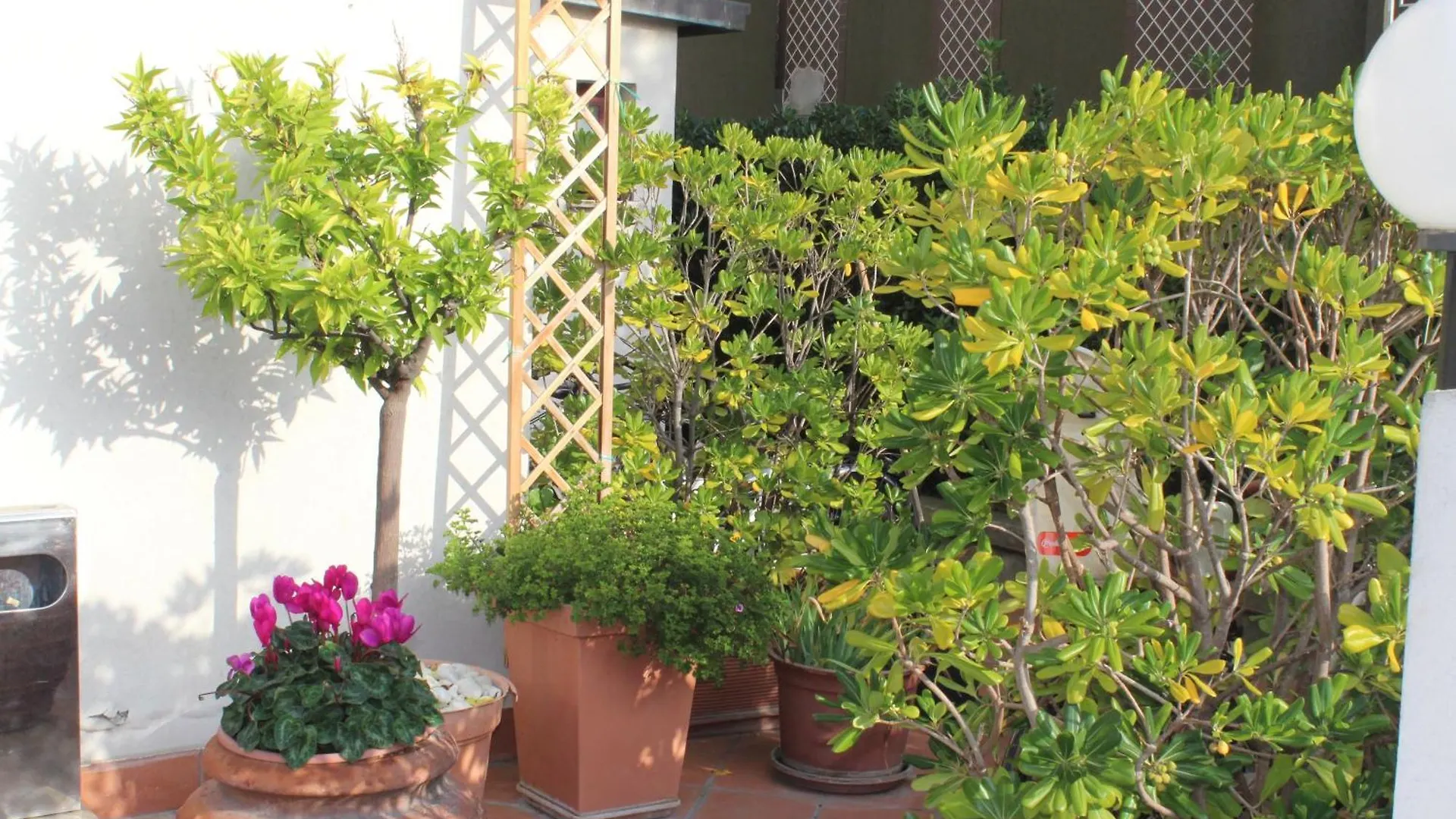 ***  רימיני Arcangelo Roof Hotel איטליה
