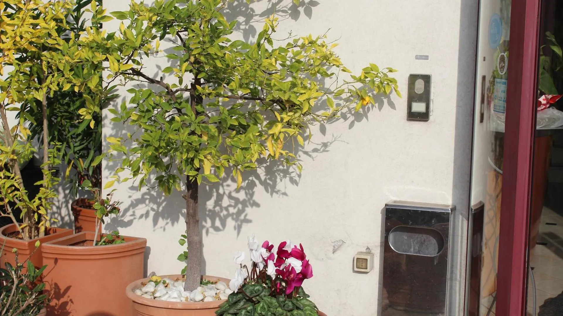 Arcangelo Roof Hotel Rimini Italy
